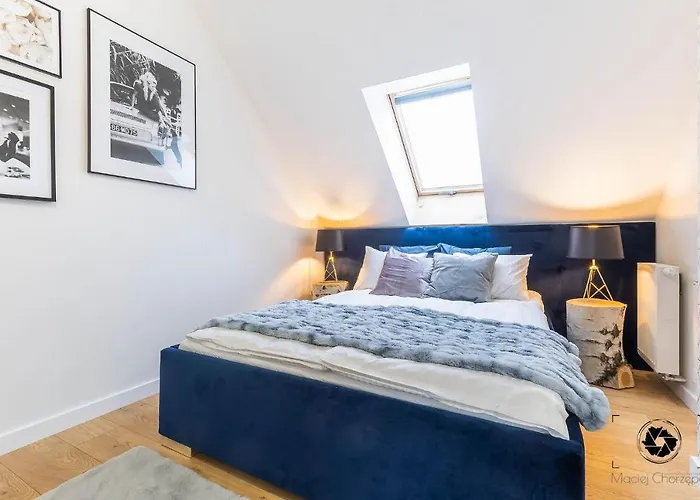 Liliowy * クドヴァ・ズドゥルイ