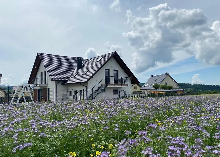 Liliowy クドヴァ・ズドゥルイ